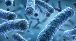 5-Strain Probiotic Complex