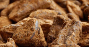 Prebiotics (Inulin + FOS)