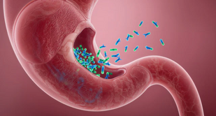 Proprietary Digestive Enzyme Blend