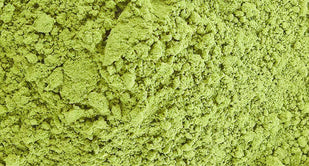 Apple Cider Vinegar & Green Tea Extract