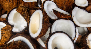 Vitamin E & Coconut Powder